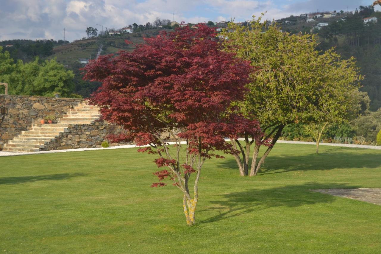 Quinta da Portelada Peso da Régua Exterior foto