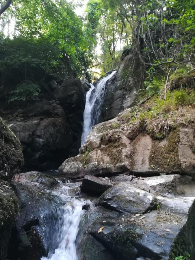 Quinta Da Portelada Peso da Régua Exterior foto