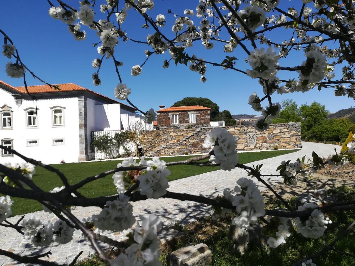 Quinta da Portelada Peso da Régua Exterior foto